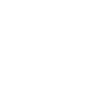 Swift Shadow